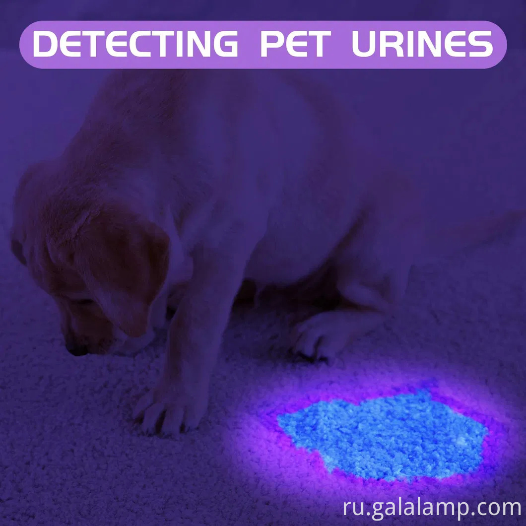 Портативный портативный факел для устранения пятен мочи собаки